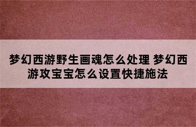 梦幻西游野生画魂怎么处理 梦幻西游攻宝宝怎么设置快捷施法